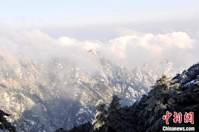 雪后黃山，白雪白云相互映襯 王輝 攝