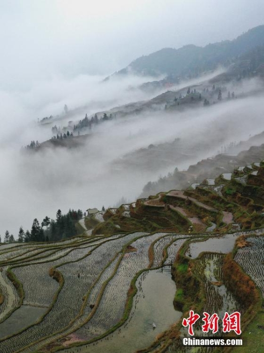 貴州從江：水墨梯田