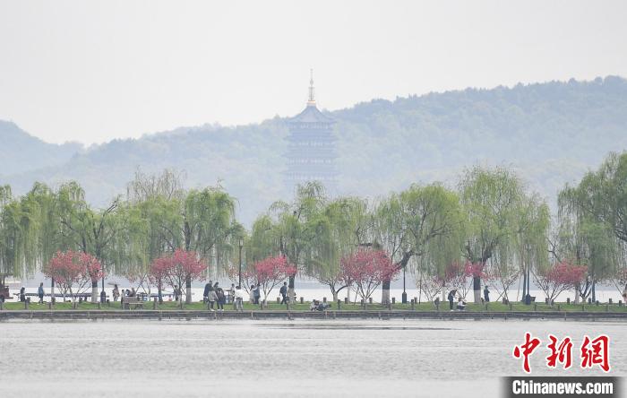 圖為杭州西湖。　王剛 攝