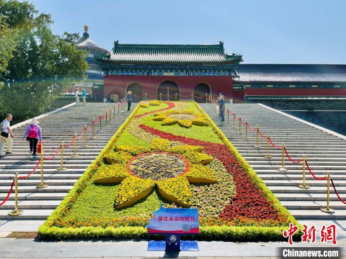 天壇公園的“葵花朵朵向陽開”主題花壇?！”本┦泄珗@管理中心供圖