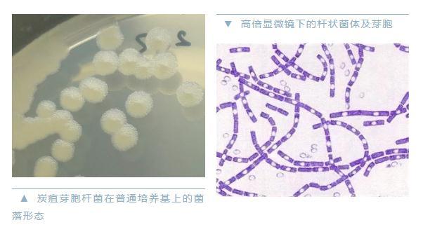 點(diǎn)擊進(jìn)入下一頁