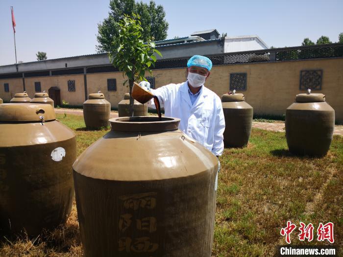 圖為釀醋手藝人在查看醋壇中的曬醋。 李洋 攝