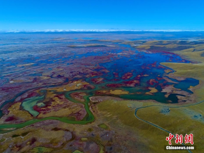 張張壁紙！黃河源頭秋景惹人醉