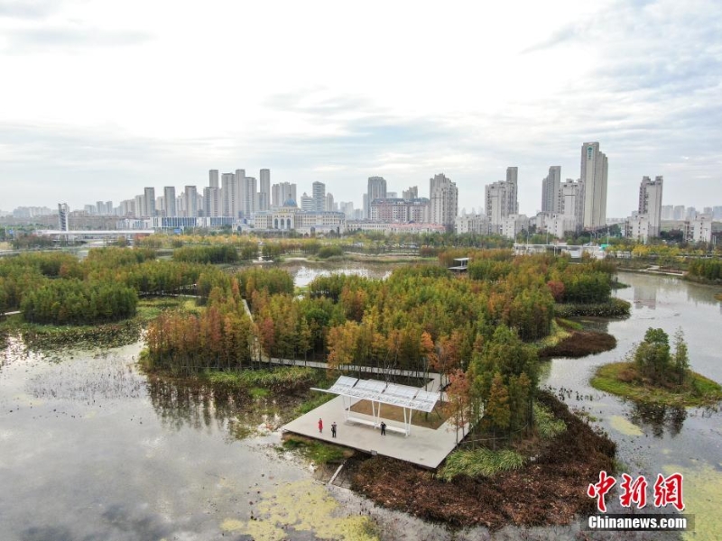 航拍江西南昌魚尾洲公園