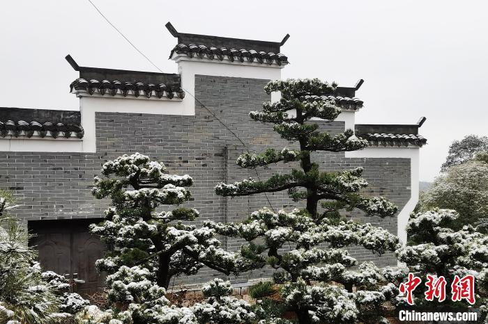 圖為：寧波奉化溪口鎮(zhèn)三十六灣村雪景在粉墻黛瓦襯托下呈現(xiàn)獨特江南景致?！≡ǔ?通訊員) 攝