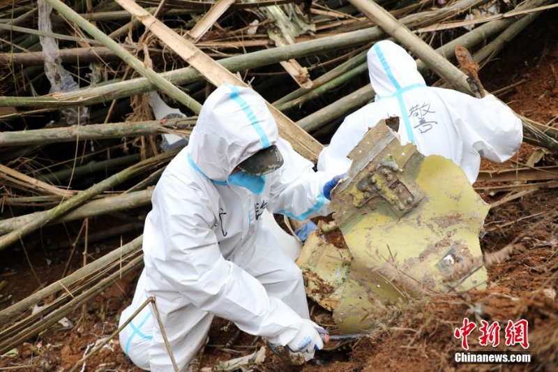 東航墜機(jī)救援現(xiàn)場：武警官兵分批次、分區(qū)域搜索