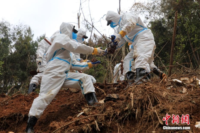 東航墜機(jī)救援現(xiàn)場：武警官兵分批次、分區(qū)域搜索