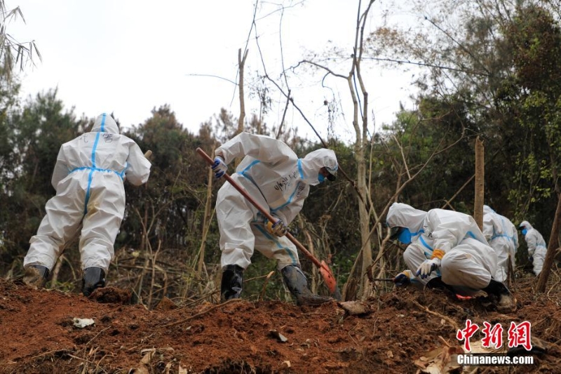 東航墜機(jī)救援現(xiàn)場：武警官兵分批次、分區(qū)域搜索