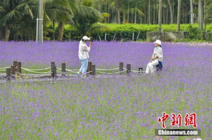 點擊進入下一頁