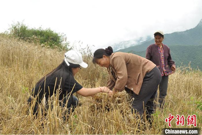 甘肅高校創(chuàng)新農(nóng)村社區(qū)教育培訓賦能婦女融入鄉(xiāng)村振興