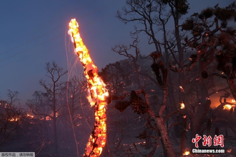 美國(guó)加州山火爆發(fā) 火光映紅夜空