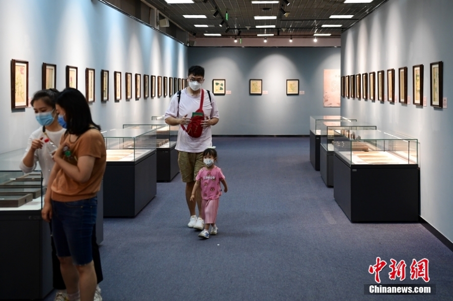 “科學與藝術——科學畫與生物標本展”在北京自然博物館開展