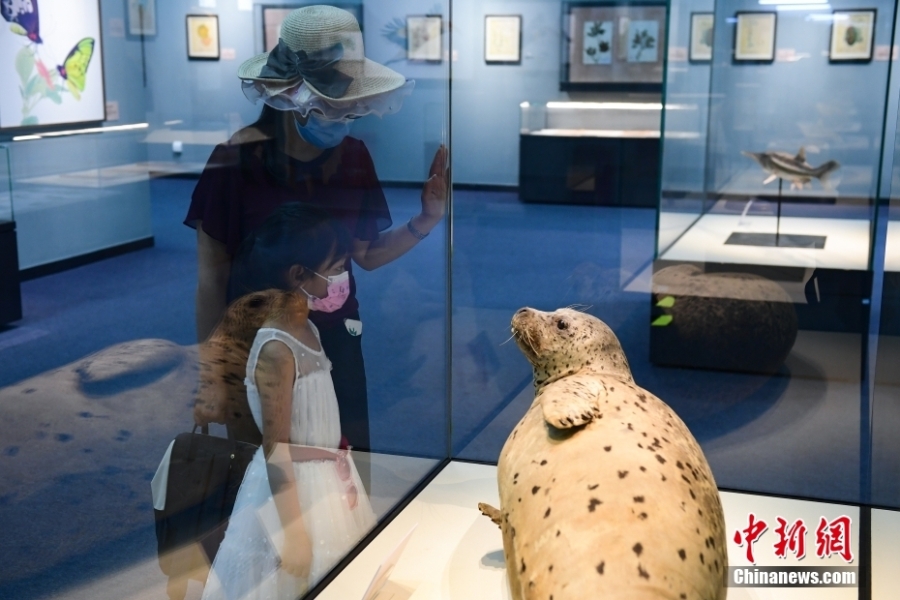 “科學(xué)與藝術(shù)——科學(xué)畫與生物標(biāo)本展”在北京自然博物館開展