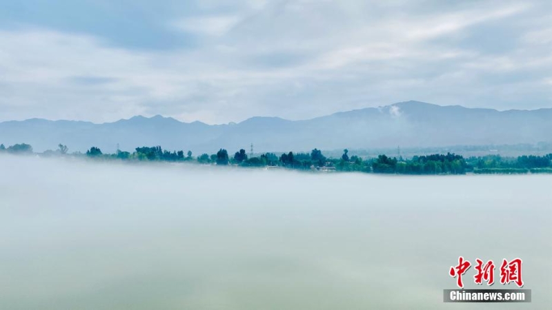 青海尖扎：薄霧、群山、綠樹勾勒黃河夏日圖景