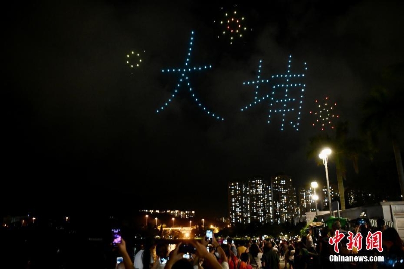 香港大埔海、陸、空匯演慶回歸