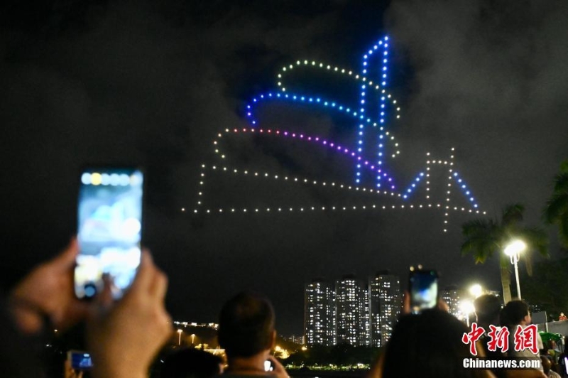 香港大埔海、陸、空匯演慶回歸