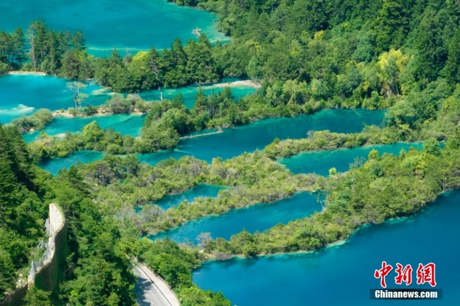 夏日九寨溝山風(fēng)水韻 自然純凈宛如童話世界