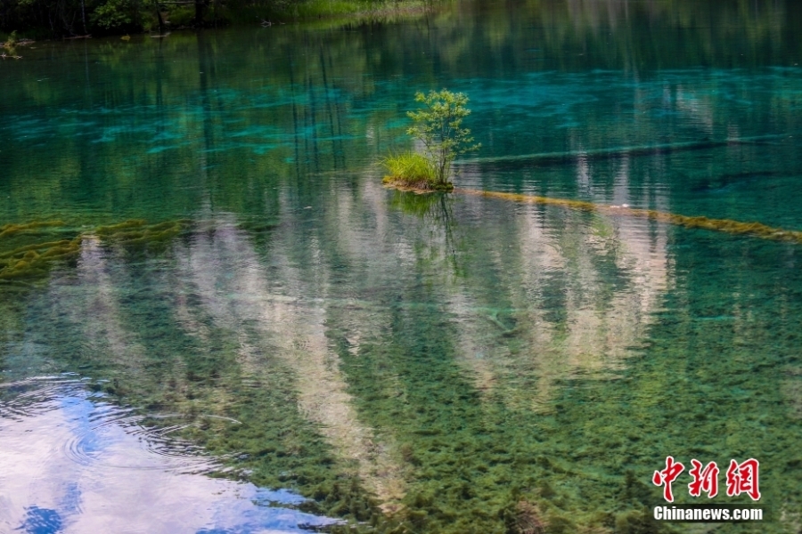 夏日九寨溝山風(fēng)水韻 自然純凈宛如童話世界