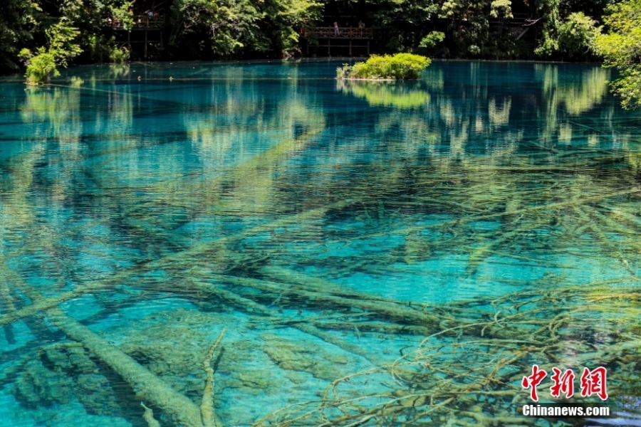 夏日九寨溝山風(fēng)水韻 自然純凈宛如童話世界