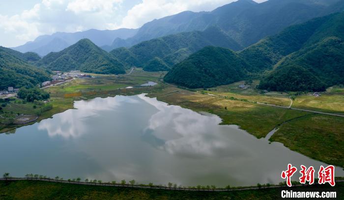 圖為航拍盛夏的神農(nóng)架大九湖美如仙境 張暢 攝