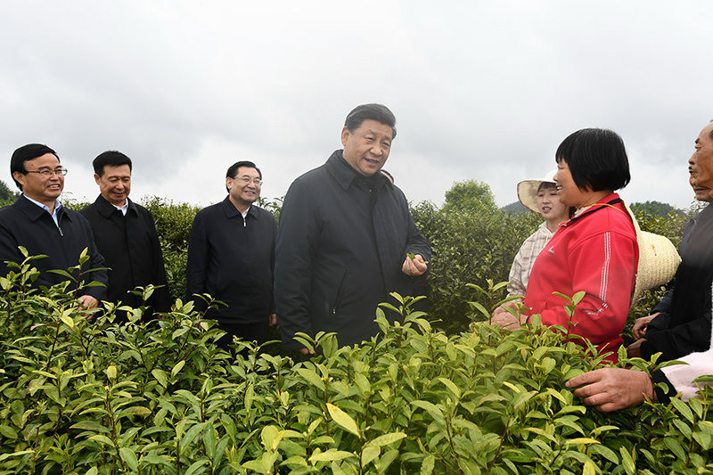 　2020年4月21日，習(xí)近平總書記在陜西省安康市平利縣老縣鎮(zhèn)蔣家坪村女媧鳳凰茶業(yè)現(xiàn)代示范園區(qū)，同茶農(nóng)們親切交談。