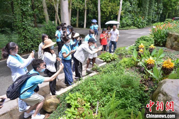 中外青年來到華南國(guó)家植物園 宋禎儀 攝