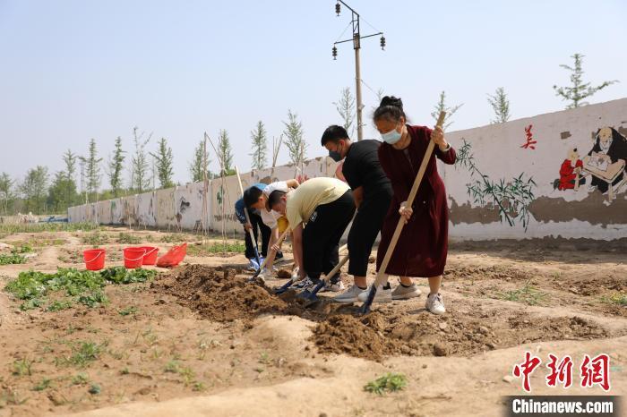 資料圖：河北衡水利民路小學(xué)創(chuàng)設(shè)的“耕讀苑”勞動基地，各班學(xué)生自己設(shè)計(jì)班牌，查資料，選擇農(nóng)作物種子。金莉莉 攝