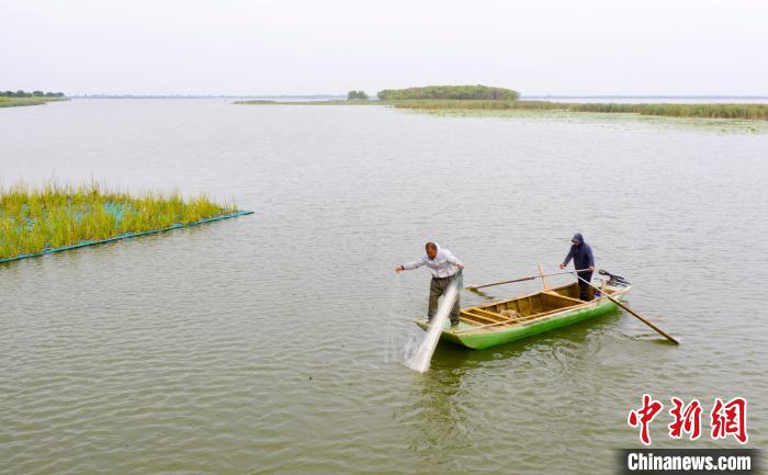 一船一碼一證：“京津冀最美濕地”衡水湖開湖捕魚