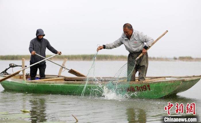 漁民網(wǎng)到了大魚。　陳康 攝