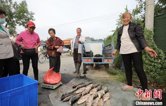 新鮮魚獲上市?！￡惪?攝