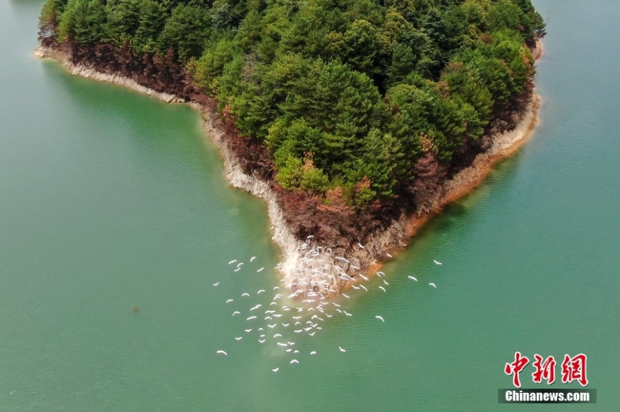 探訪南嶺國家公園（擬建）南水湖區(qū)域：生態(tài)環(huán)境日益改善