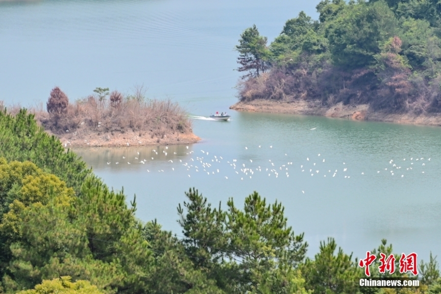 探訪南嶺國(guó)家公園（擬建）南水湖區(qū)域：生態(tài)環(huán)境日益改善