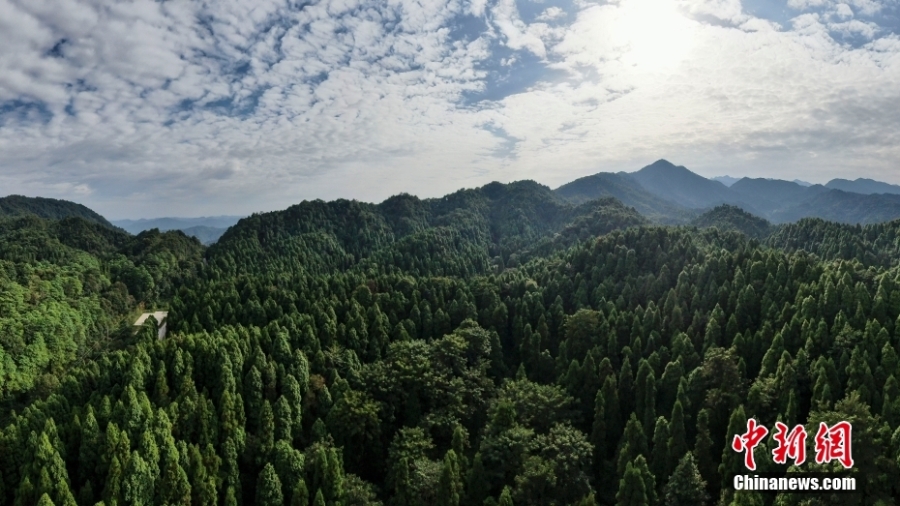 走進(jìn)南嶺國家公園（擬建）天井山區(qū)域：森林覆蓋率達(dá)97.6%