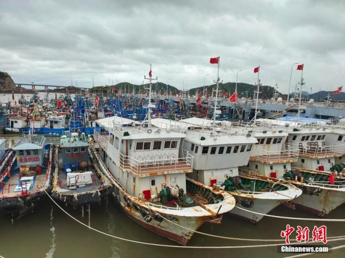 圖為漁船在崇站港避風(fēng)。 王逸飛 攝