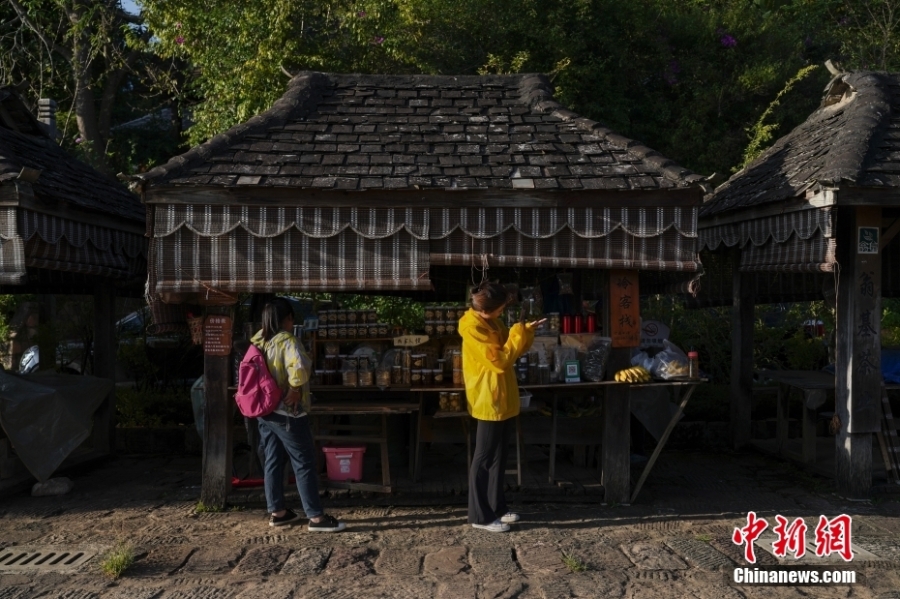 探訪云南景邁山中的“千年布朗古寨”