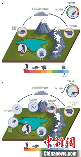 積極的恢復(fù)和碳減排措施有助于實(shí)現(xiàn)可持續(xù)發(fā)展的碳匯功能?！≈锌圃撼啥忌镅芯克﹫D