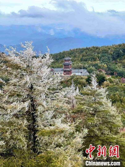 10月4日，泰山之巔現(xiàn)霧凇奇觀，冰雕玉砌、晶瑩閃爍的霧凇綴滿枝頭，一樹樹、一叢叢，甚是好看?！±捉?攝