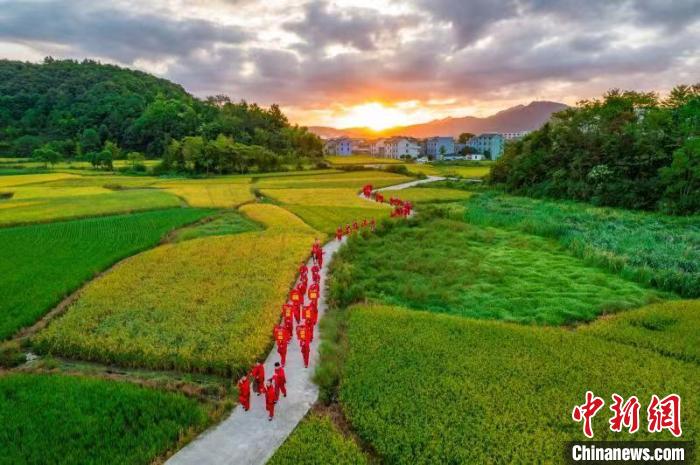 紅妝隊伍蜿蜒“十里” 寧海宣傳部供圖