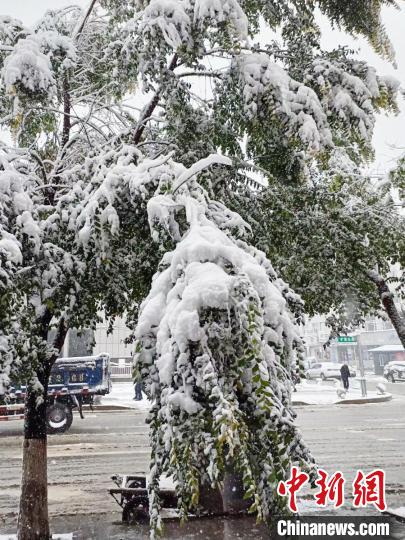 吉林遭遇強降水雨雪交加延緩秋收進程