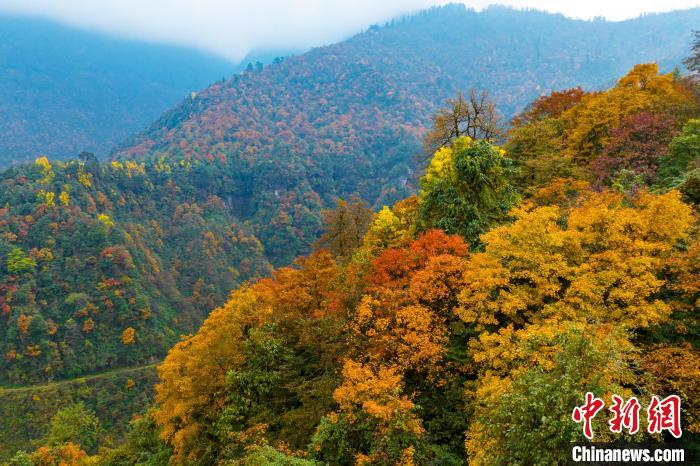 四川洪雅瓦屋山秋景如畫