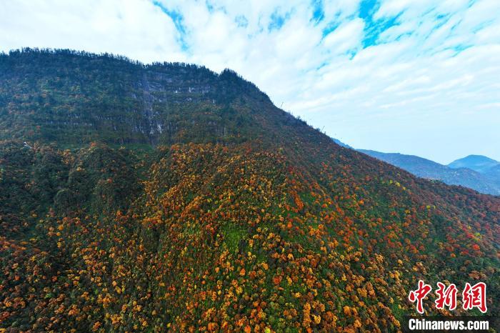 色彩斑斕的瓦屋山?！⒅铱?攝