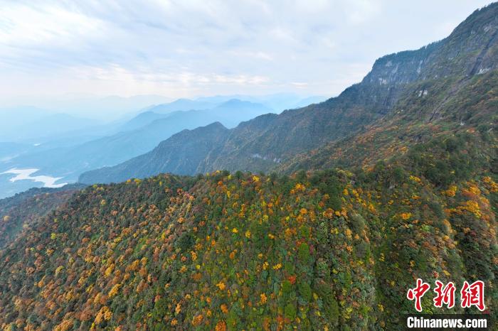 美不勝收的瓦屋山秋景?！⒅铱?攝