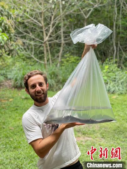 論文第一作者手拿一只美洲肺魚，他剛在巴西的亞馬遜研究所進行完錄音(圖源：Basil Minder)。　施普林格·自然 供圖