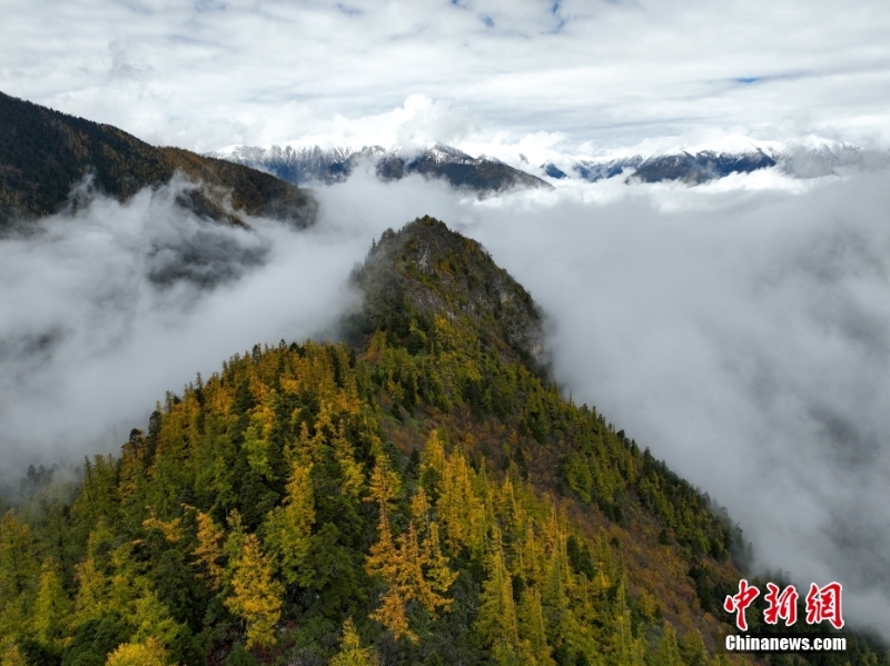 西藏林芝秋日風(fēng)光無限