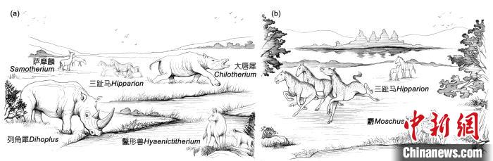 晚中新世華北地區(qū)三趾馬動物群生態(tài)復原：(a) 華北西部； (b) 華北東部?！≈锌圃汗偶棺邓?供圖