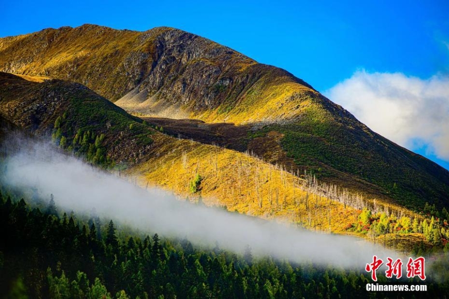 四川壤塘：雪山、彩林、藏寨美如仙境