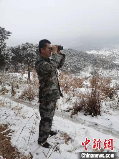 資料圖：大雪封山，護林員堅持巡查，避免積雪壓折樹木 泰安市委宣傳部供圖