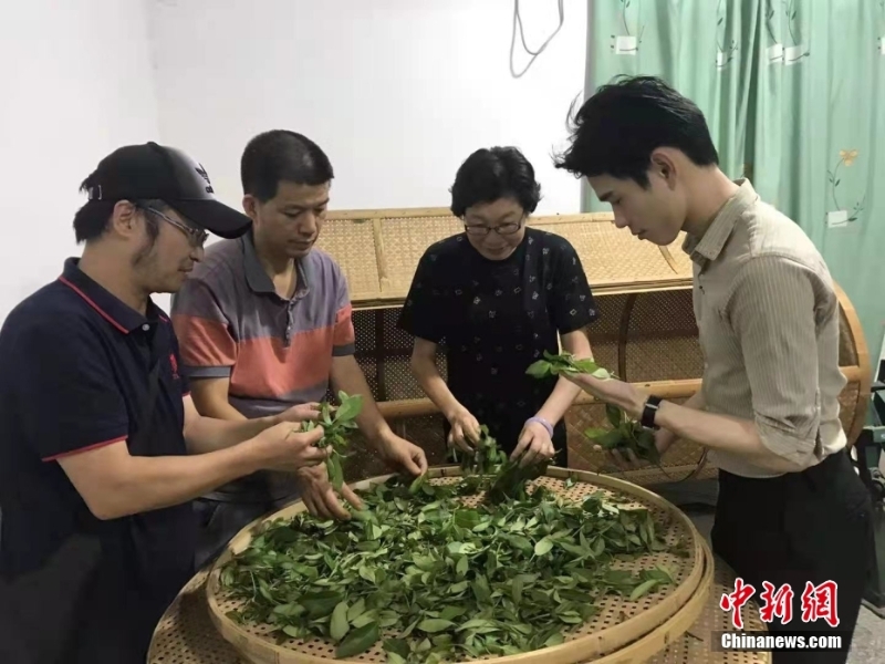 資料圖為臺(tái)灣制茶師左如玉（右二）在福建漳平教學(xué)生制茶。 <a target='_blank' href='/'>中新社</a>發(fā) 受訪者供圖