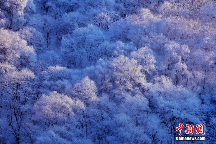 資料圖：圖為甘肅平?jīng)鲫P(guān)山雪景。李靖 攝

