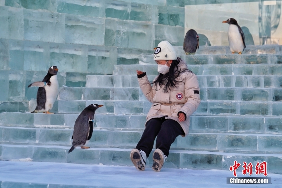 哈爾濱冰雪大世界開門迎客